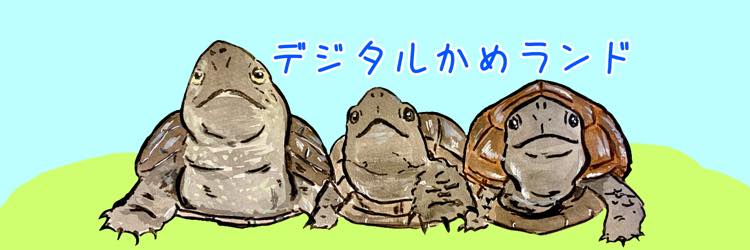 デジタルかめランドロゴ